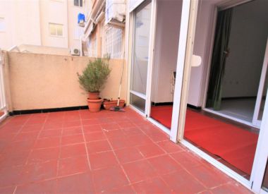Apartments in Torrevieja (Costa Blanca), buy cheap - 49 000 [72880] 2