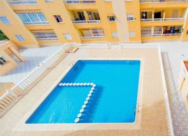 Apartments in Torrevieja ID:72876