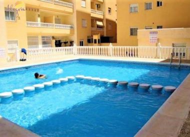 Apartments in Torrevieja (Costa Blanca), buy cheap - 49 900 [72876] 2