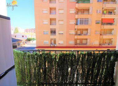Apartments in Torrevieja ID:72873