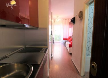 Apartments in Torrevieja (Costa Blanca), buy cheap - 37 900 [72873] 10