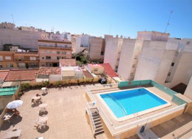 Apartments in Torrevieja ID:72870