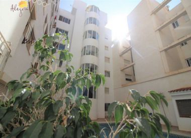 Apartments in Torrevieja (Costa Blanca), buy cheap - 40 900 [72867] 3