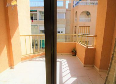 Apartments in Torrevieja (Costa Blanca), buy cheap - 40 900 [72867] 9