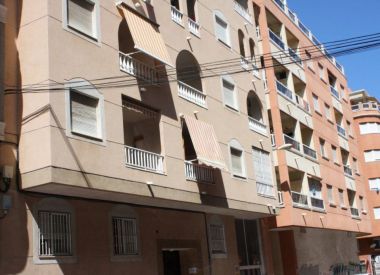 Apartments in Torrevieja ID:72864