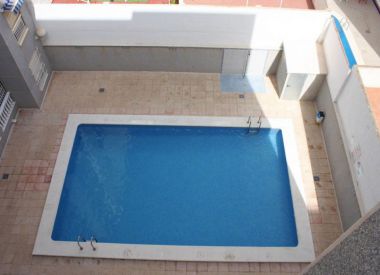 Apartments in Torrevieja (Costa Blanca), buy cheap - 46 000 [72861] 1