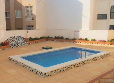 Apartments in Torrevieja (Costa Blanca), buy cheap - 45 900 [72848] 2