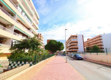 Commercial property in Torrevieja (Costa Blanca), buy cheap - 10 700 [72842] 8