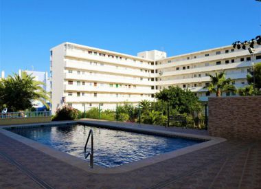 Apartments in Torrevieja ID:72830