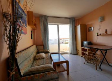 Apartments in Torrevieja (Costa Blanca), buy cheap - 34 400 [72830] 2