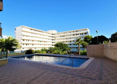 Apartments in Torrevieja (Costa Blanca), buy cheap - 34 900 [72829] 9