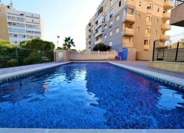 Apartments in Torrevieja ID:72828